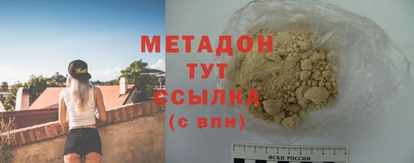 хмурый Аркадак