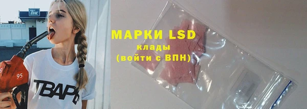 гидра Няндома