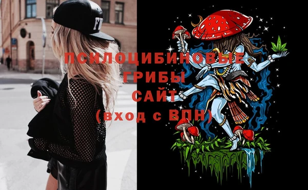прущие грибы Алзамай