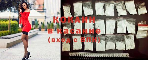прущие грибы Алзамай