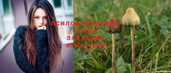 кокаин премиум Алексин