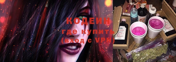прущие грибы Алзамай