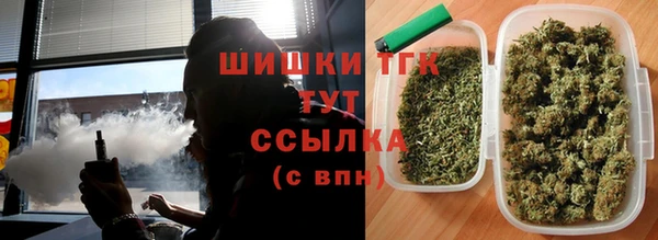 прущие грибы Алзамай