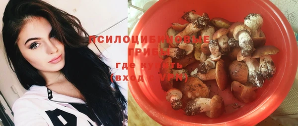 прущие грибы Алзамай