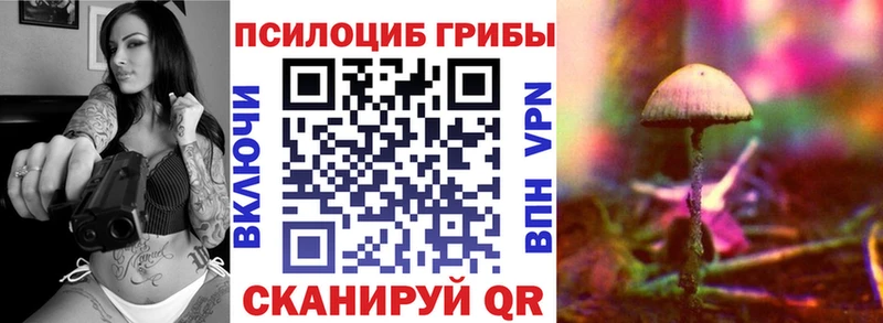Псилоцибиновые грибы MAGIC MUSHROOMS  Багратионовск 